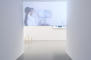 Joyce Ho