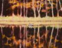 Waterfront Scenery 201704 by Naofumi Maruyama contemporary artwork Painting