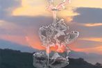 Xiaoshi Vivian Vivian Qin contemporary artist