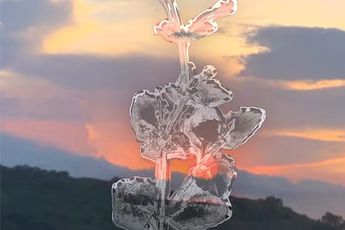 Xiaoshi Vivian Vivian Qin contemporary artist