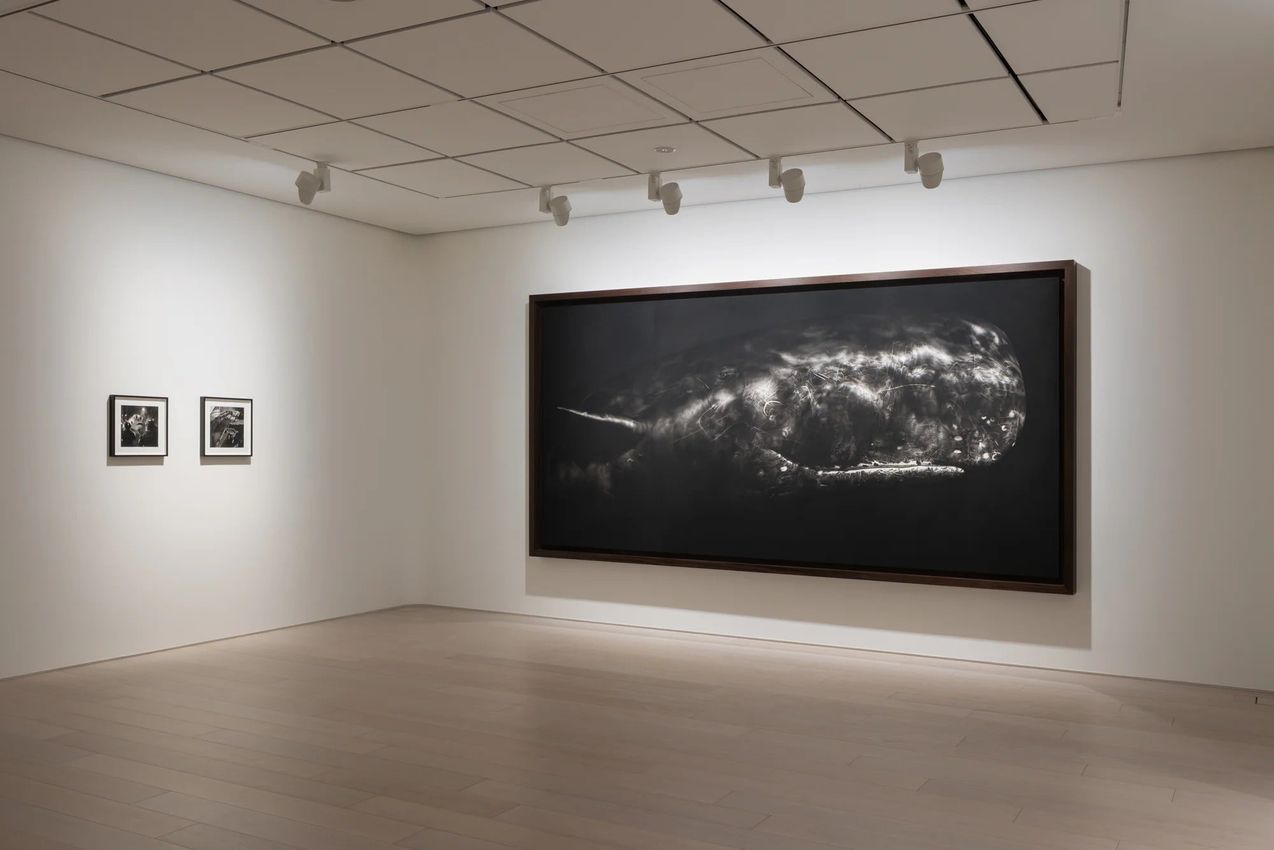 Robert Longo, 'Angels of the Maelstrom' at Pace Gallery, Tokyo on