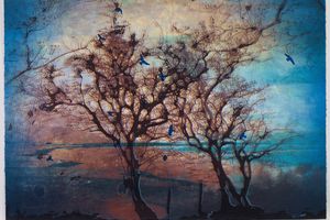 Elizabeth Magill