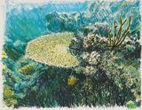 Saltwater III by Bruno Gadenne contemporary artwork drawing works on paper