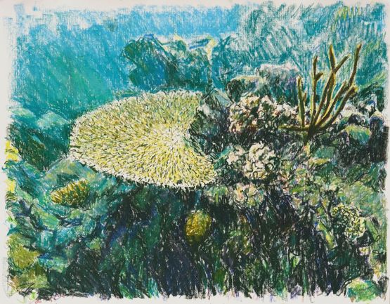 Saltwater III by Bruno Gadenne contemporary artwork Works on Paper
