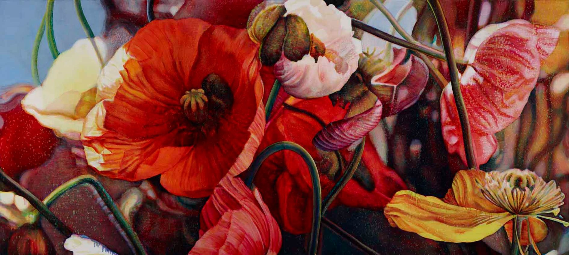 Tim Maguire