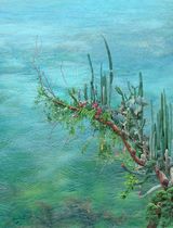 Soft Thorns by Won Seoung Won contemporary artwork photography print