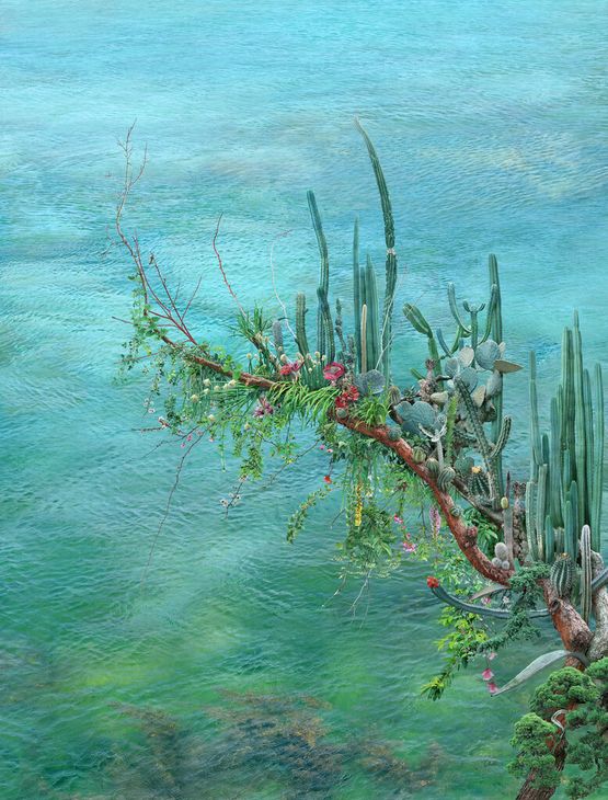 Soft Thorns by Won Seoung Won contemporary artwork Photography