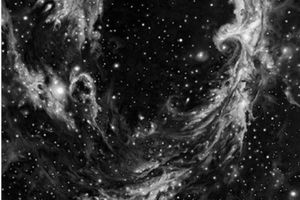 Robert Longo