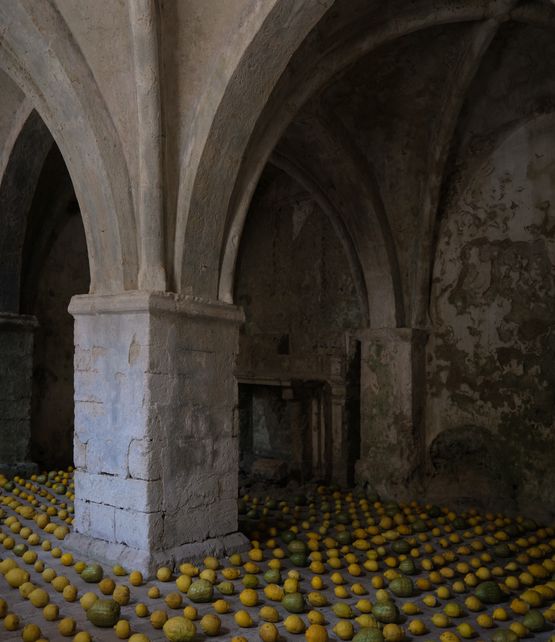The Mausoleum of Rejected Citrons by Itamar Gov contemporary artwork Photography