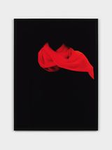 Red Scarf by Sarah Charlesworth contemporary artwork photography