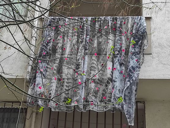 Gulistan from the series Tulle by Neriman Polat contemporary artwork Print