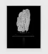 Desert Rose I by Sarah Jones contemporary artwork photography