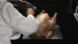 Turkey Shoot by Steve Carr contemporary artwork moving image