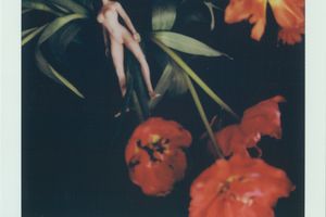 Nobuyoshi Araki