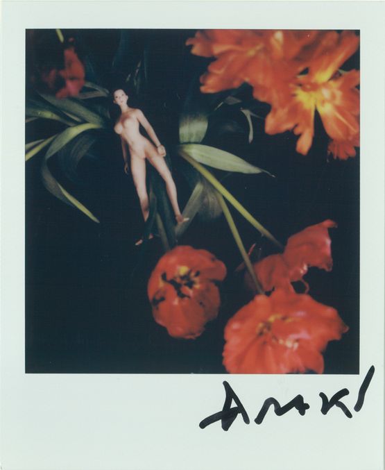 Untitled by Nobuyoshi Araki contemporary artwork Photography