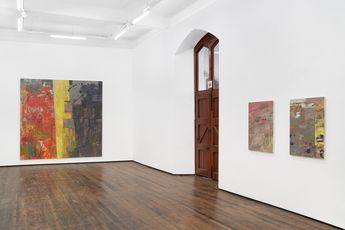 Contemporary art exhibition Clive Van Den Berg Landscape Echoes at Goodman Gallery Cape Town South Africa