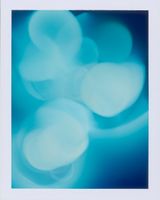 Polaroid Film No. 17 by Jiang Pengyi contemporary artwork photography