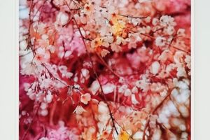 Trevor Paglen