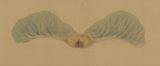 Blue bird by Zhang Xiaoli contemporary artwork painting