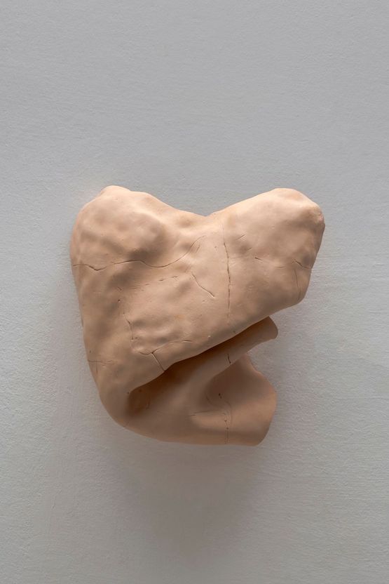 Studies for potential metamorphoses XI by Yasam Sasmazer contemporary artwork Sculpture