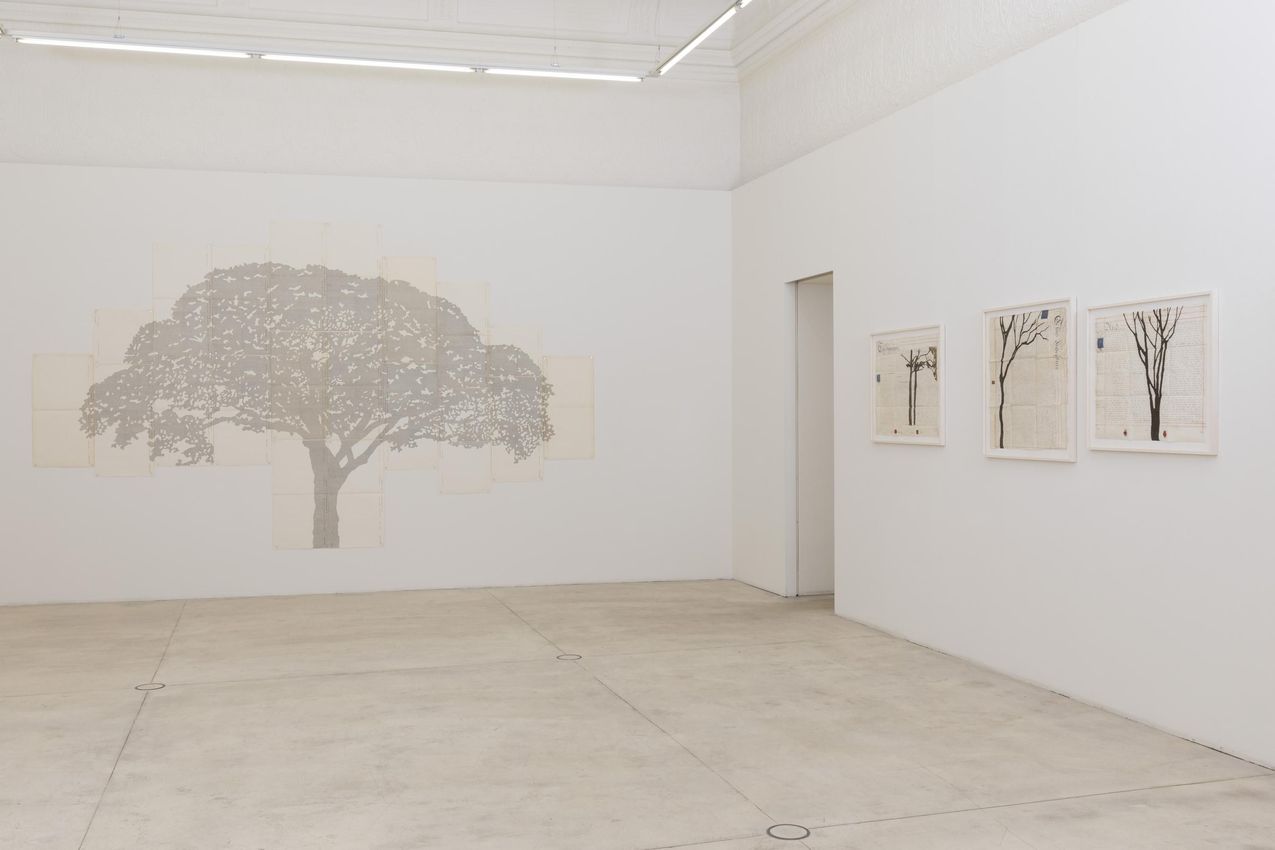 Johanna Calle