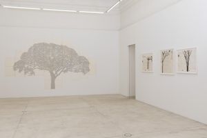 Johanna Calle