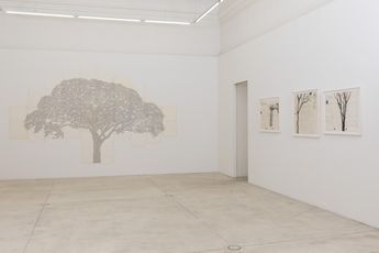 Contemporary art exhibition Johanna Calle INDENTURES at Galerie Krinzinger Seilerstatte 16 Vienna Austria