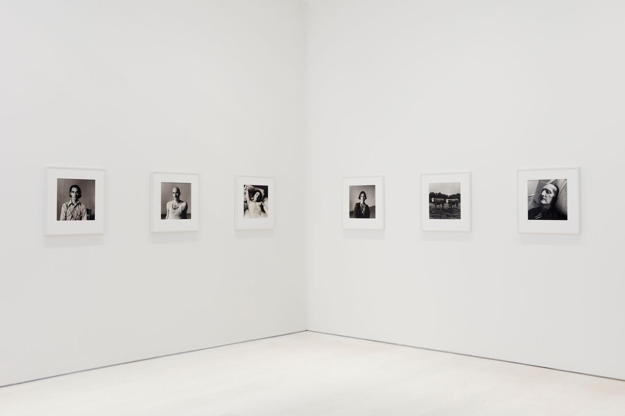 Peter Hujar