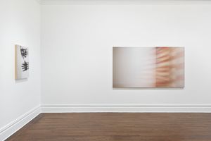 Louise Lawler