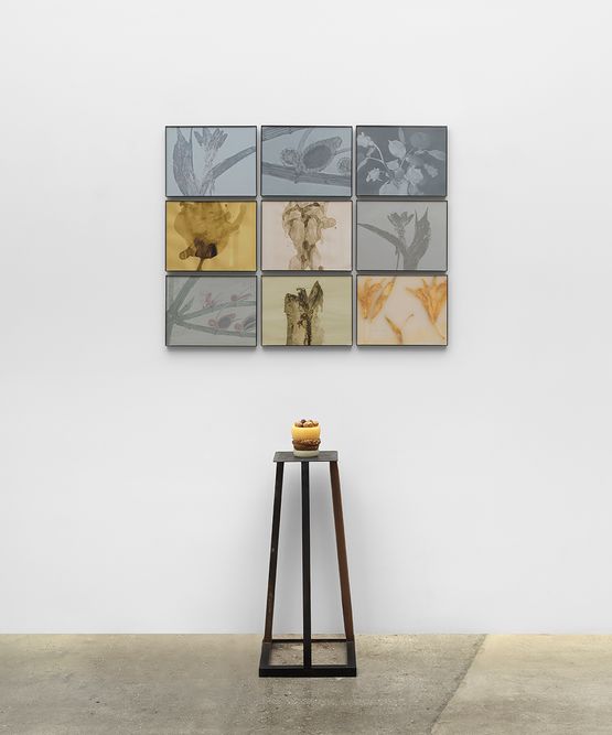 Vanishing II by Michelle Stuart contemporary artwork Painting