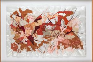 Amy Rusch