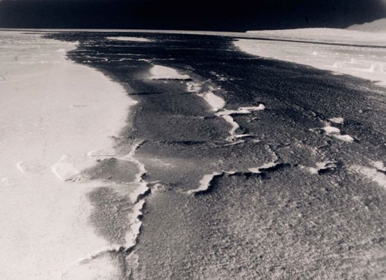 Still from Scene 32 by Shambhavi Kaul contemporary artwork Moving Image