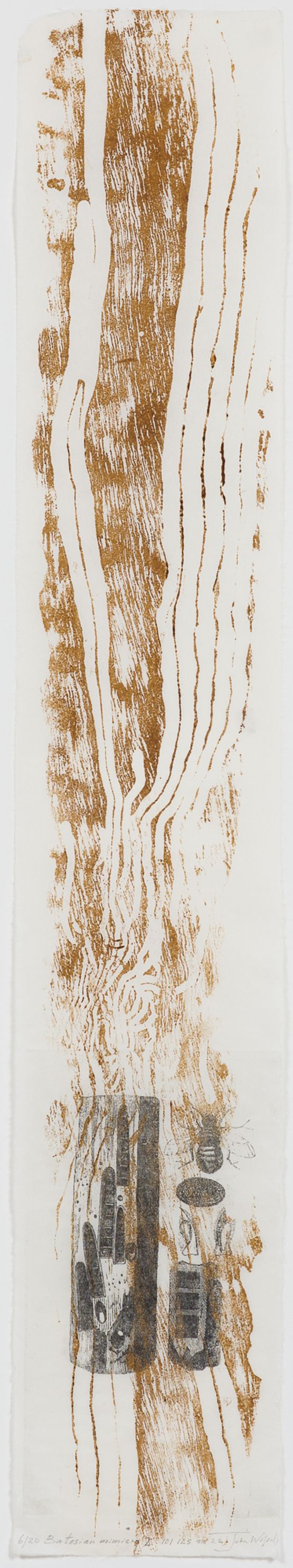 101 Insect Life Stories No 22 Batesian Mimicry 2 by John Wolseley contemporary artwork Print