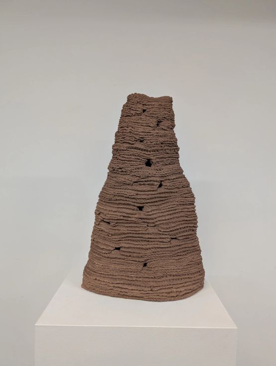 Untitled from the series Cupinzeiros by Lidia Lisboa contemporary artwork Sculpture
