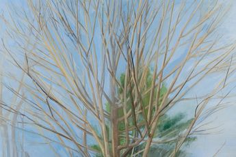 Sylvia Plimack Mangold contemporary artist