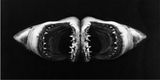 Double Shark by Robert Longo contemporary artwork print