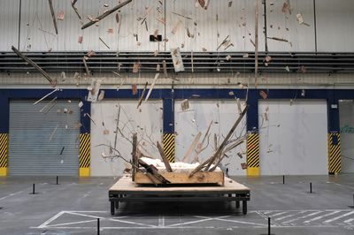 Lyon Biennale 2019 The Art of Dispersal