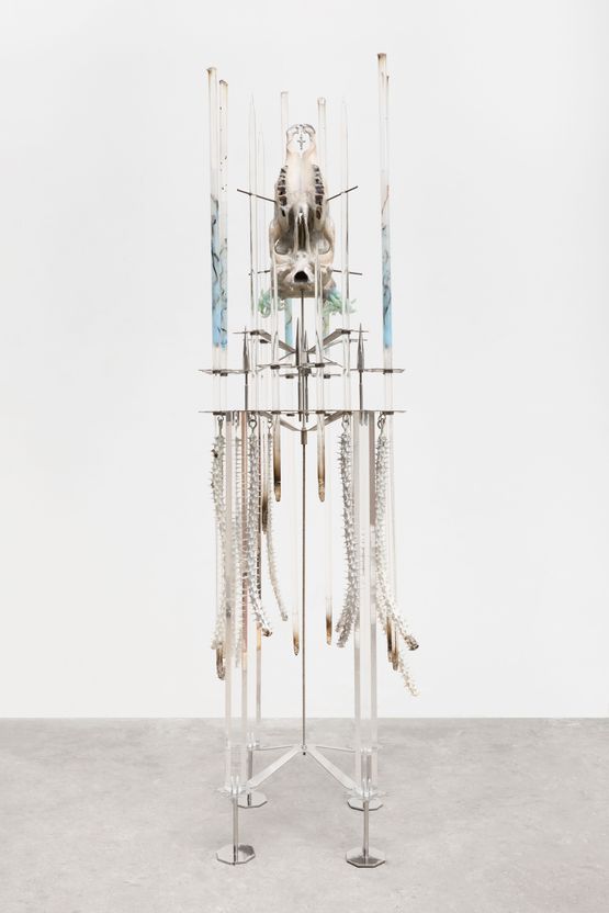 Untitled  Sem titulo by Adriano Amaral contemporary artwork Sculpture