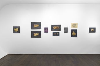 Contemporary art exhibition Christian Furr Fish  Cheese at Bartha_contemporary London United Kingdom