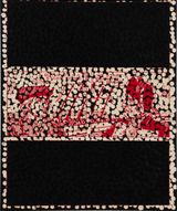 Untitled PAHLDRMU by Daniel Boyd contemporary artwork painting