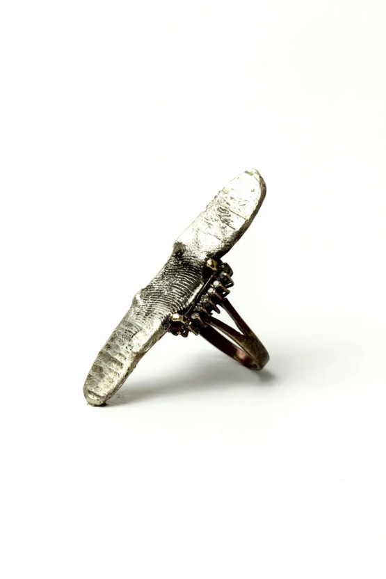 Ring by Karl Fritsch contemporary artwork Sculpture