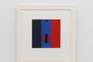 Helio Oiticica