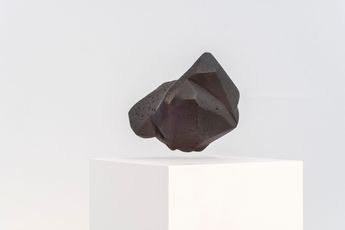 Agnieszka Kurant contemporary artist