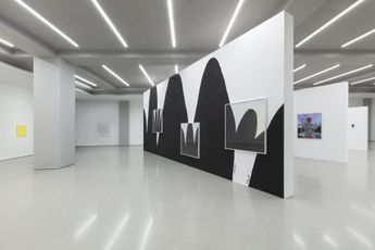 Contemporary art exhibition Group Exhibition Persona and Parasite at White Space Shunyi China