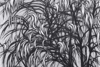 Han Jin contemporary artist