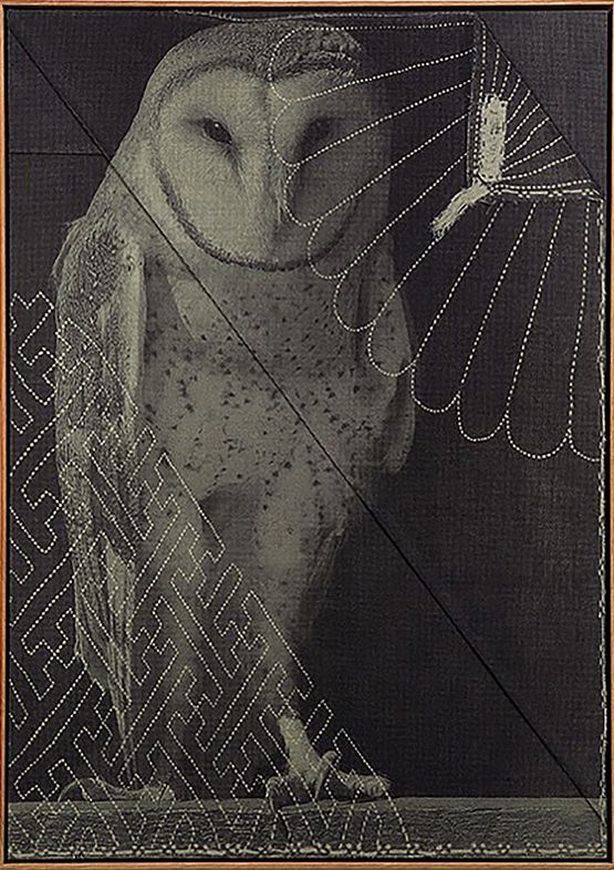 Untitled by David Noonan contemporary artwork Print