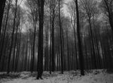 Rhonwald by Barbara Klemm contemporary artwork photography