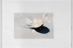Martin Walde