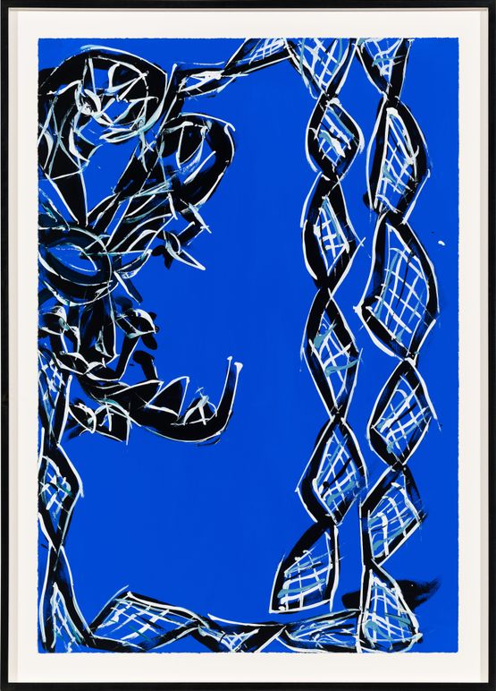 Biranybirany by Dhambit Mununggurr contemporary artwork Works on Paper