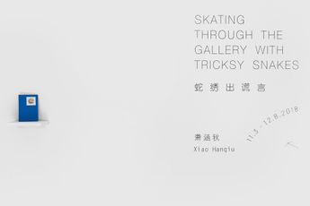 Contemporary art exhibition Xiao Hanqiu Skating Through the Gallery with Tricksy Snakes at Tabula Rasa Gallery Beijing China